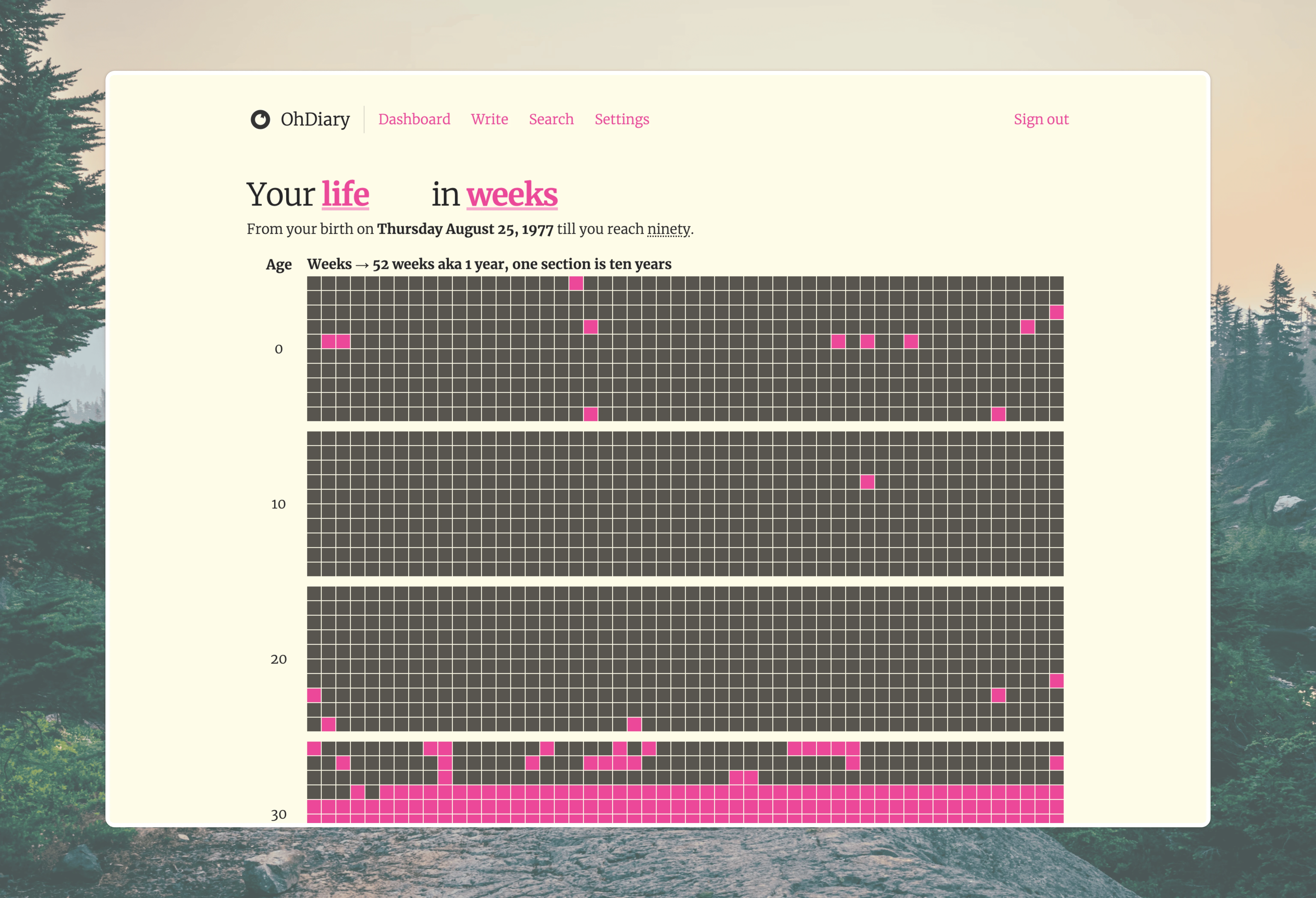 Life in weeks visualization showing a calendar grid of weeks with journal entries